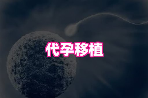 福建助孕网站 2
